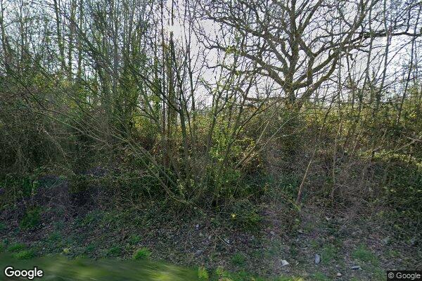 Langman — street view