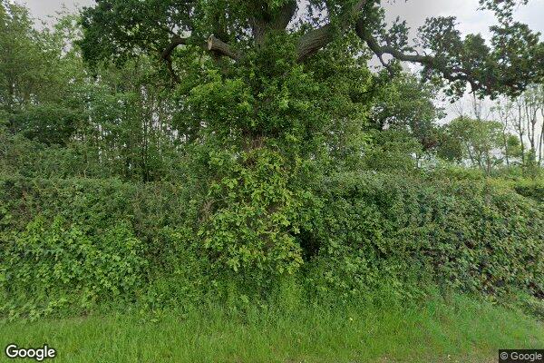 Boyd's Crossing — street view