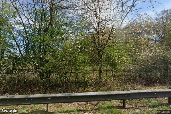 Golden Wood — street view