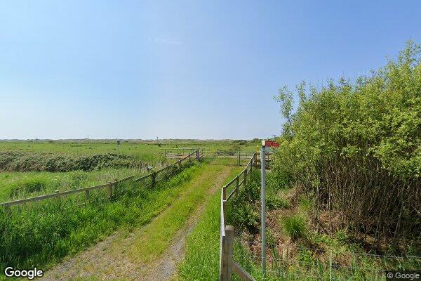 Dafydd β street view