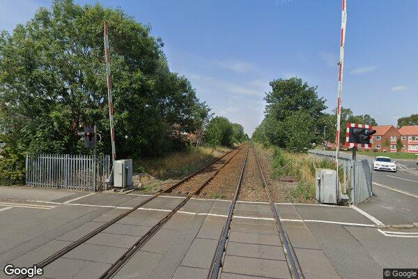 CHERRY TREE — street view