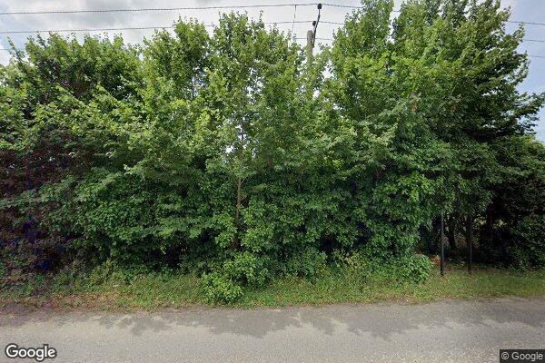 Willmotts — street view