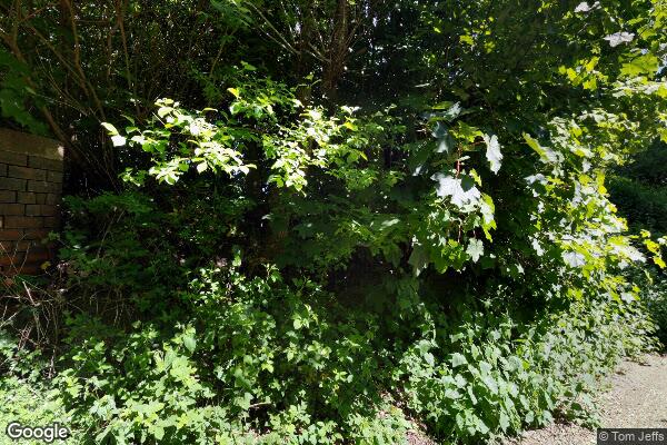 The Oaks — street view