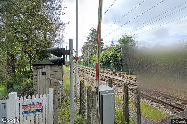Trees — street view