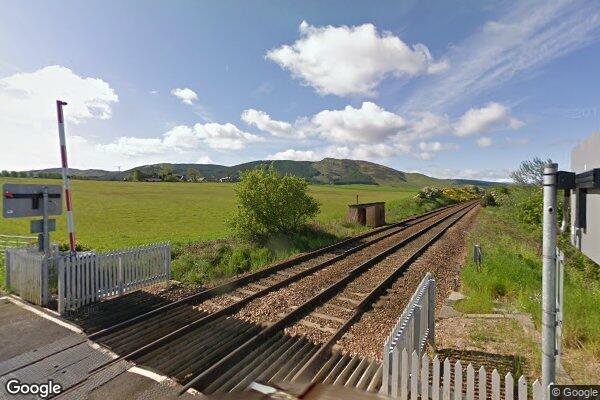 WHITEMOSS — street view