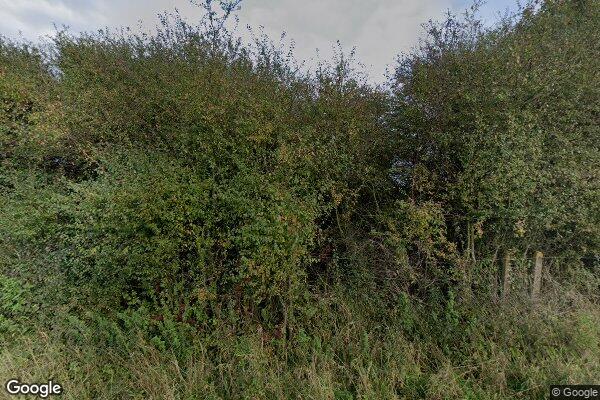 Suton FPS — street view