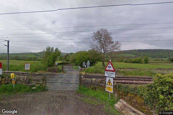 SHADY LANE (FPS) — street view