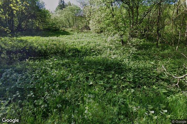 King Sterndale — street view