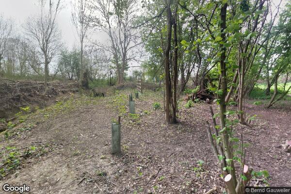 Warren Farm FPG β street view