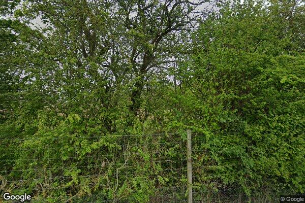 EASTFIELD β street view