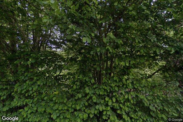 Stow — street view