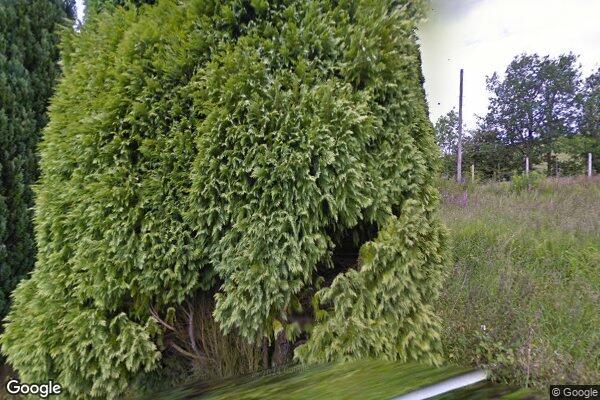 Dildre FP — street view