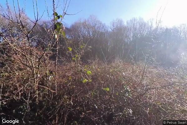 Spring Lane — street view