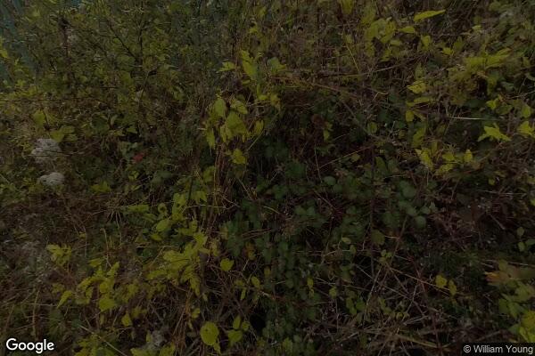 Pant — street view