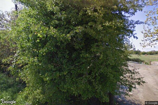 Nursery UWCT — street view