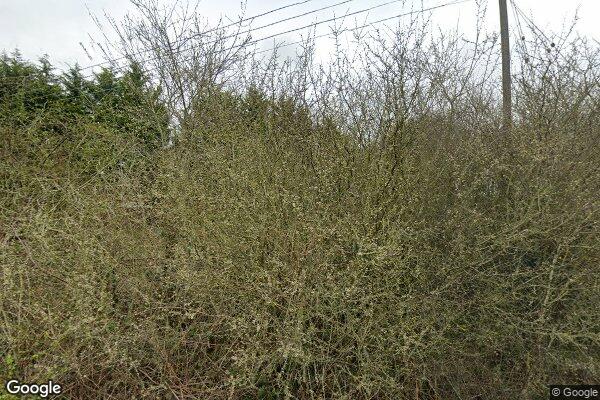 Blunts Green — street view