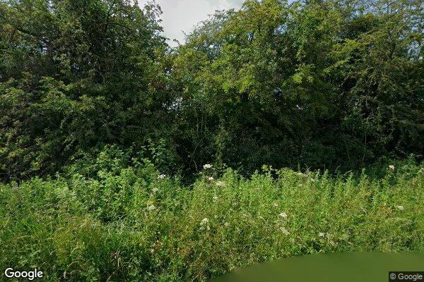 SLEIGHTS — street view