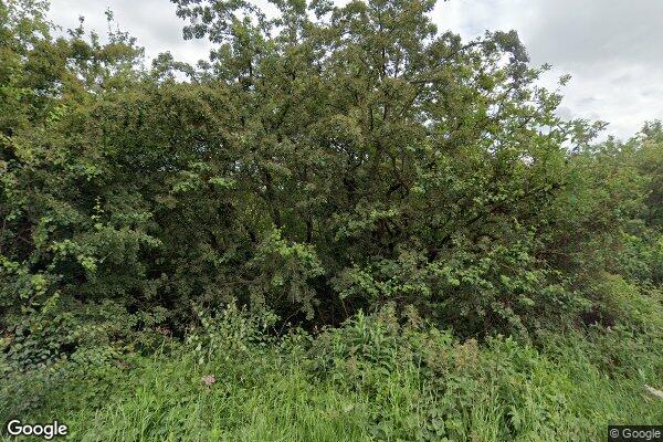 McKENZIES β street view