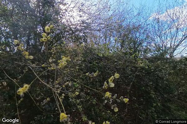 Pilling Farm South — street view