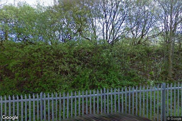 BRIERFIELD β street view