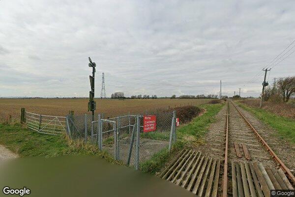 Swamp β street view