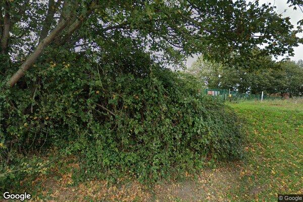 Fox Grove — street view