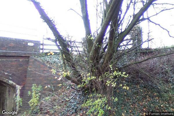 Rectory Farm — street view