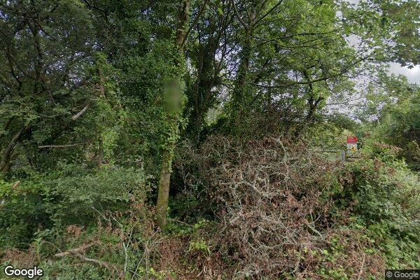 Pill Farm — street view