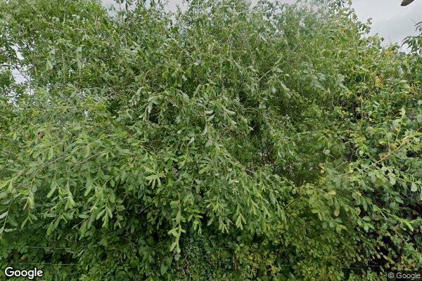 Tywyn Station — street view
