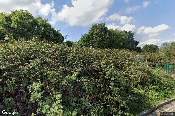 Trumpers β street view