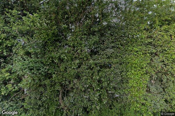 Forden — street view