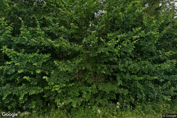 GOODRIDGES β street view