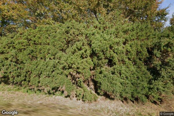 MELLAIG 3 — street view