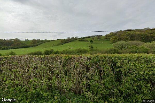 Maylord β street view