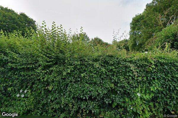 CRIFTIN FARM β street view