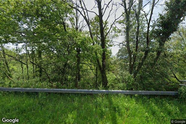 Asylum β street view