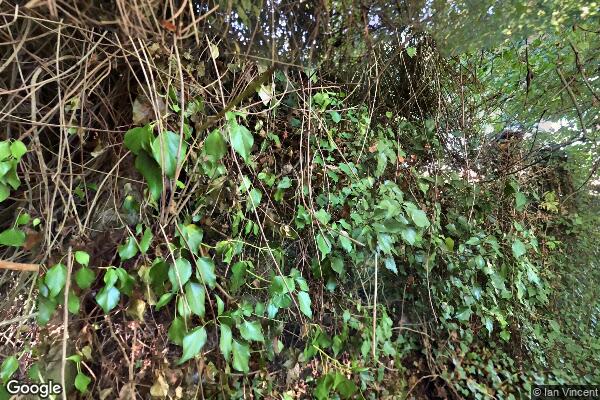 East Devon Way 2 β street view