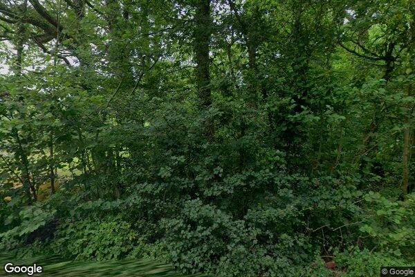 McGee No.2 — street view