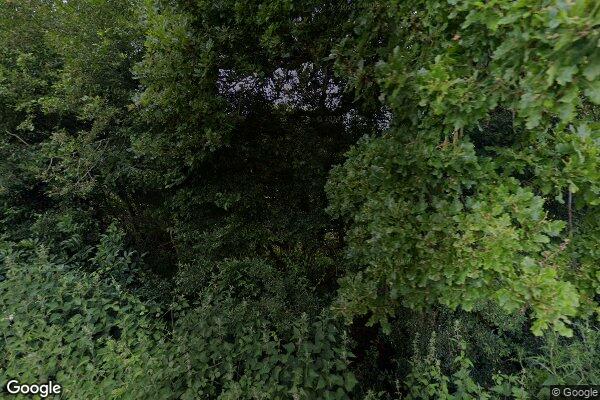 Mells FPS — street view