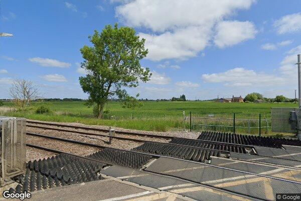 GOLDEN HIGH HEDGES β street view