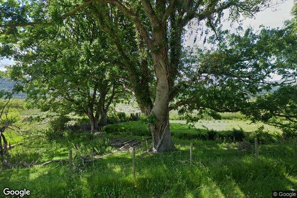 Dytto Farm β street view