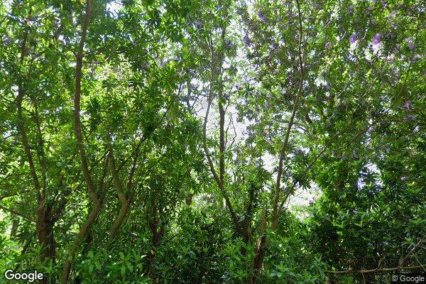 Panteidol — street view