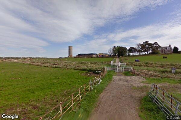 EASTER GLACTON 2 — street view