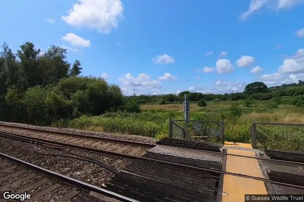 Waltham Brook — street view